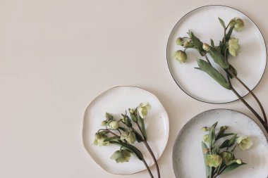 Bahar foral çerçevesi, afiş. Seramik tabaklar üzerinde yeşil cehennem çiçekleri. Tarafsız bej şampanya masası arka planı. Boş kopyalama alanı. Düz yerde, üst tarafta. Doğal minimum bileşim.