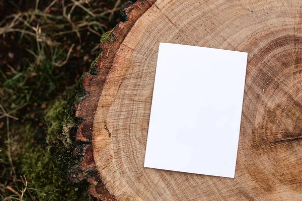 Invitation, branding mock-up. Blank greeting card, leaflet on cut wooden tree trunk in forest. Blurred grass background. Lumber, timber industry and ecology concept. Moody natural lat lay, top view. — Stock Photo, Image
