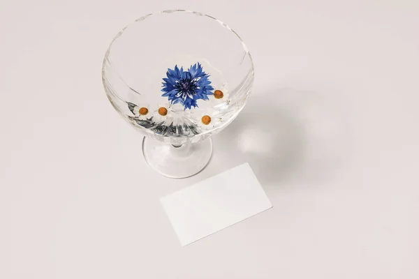Modern yaz natürmort. Bir bardak su, mavi çiçek ve papatya çiçekli kokteyl. Uzun gölgeler. Güneş ışığında bej masa arkaplanı. Boş kartvizit modeli. Düz yatış, üst görünüm. — Stok fotoğraf