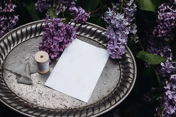 Moody spring wedding stationery mockup scene. Blank greeting card, invitation on vintage silver tray. Purple lilacs flowers and rain drops. Wet silk ribbon. Blooming Syringa bush in the garden. Top. — стоковое фото