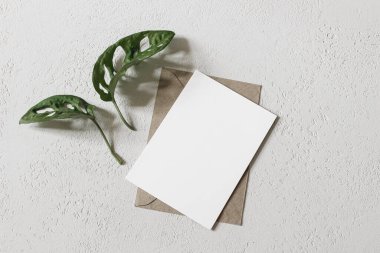 Tropik yaz düğün kırtasiyesi modeli. Boş tebrik kartı, el işi zarflı davetiye. Küçük yeşil canavar, peynir bitkisi yaprakları. Beyaz desenli arka plan. Düz yatış, üst görünüm.