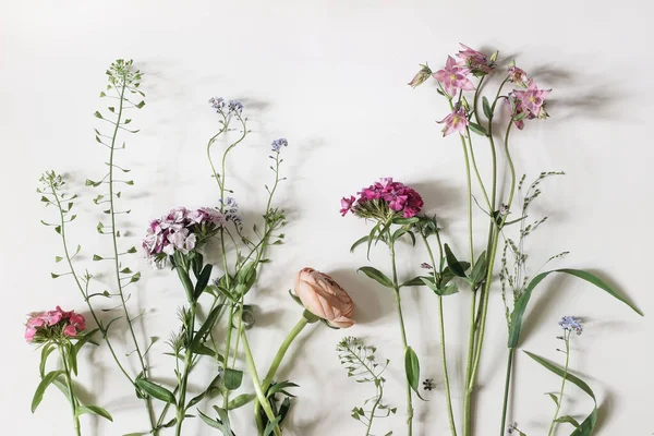 Garden and wild meadow flowers. Floral banner. Shepherds purse, dianthus, buttercup and aquilegia plants isolated on white table background. Decorative natural border. Flat lay, top view. — Stock Photo, Image