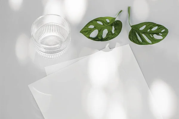 Tropical summer stationery mock-ups. Blank papers, glittering glass of water and green monstera leaves. White table backgound in sunlight. Natural light and shadow streaks overlay. Vacation concept.