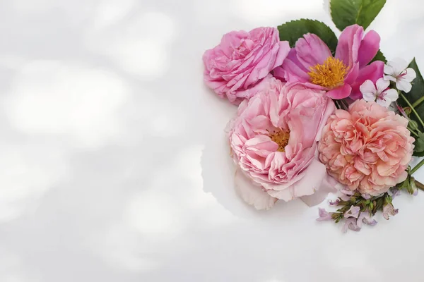 Summer floral decorative corner. Colorful garden flowers and herbs isolated on white table in sunlight. English roses, sage, peony and geranium blooms, leaves. Selective focus, blurred background. — Stock Photo, Image