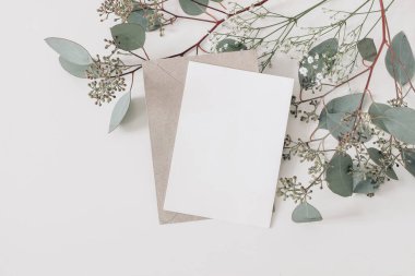 Düğün, doğum günü kırtasiyesi. Boş tebrik kartı, davetiye maketi ve el işi zarfı. Yeşil okaliptüs populus dalları, arka planda yalıtılmış çingene çiçekleri. Düz yatıyordu, üst.