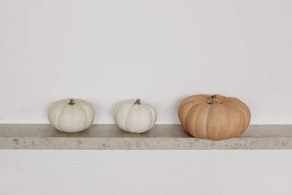 Outono ainda vida. Laranja e abóboras brancas na prateleira de mármore. Fundo da parede branca. Queda, projeto de Ação de Graças. Decoração de casa. Vegetais, conceito de colheita. Espaço de cópia vazio. — Fotografia de Stock