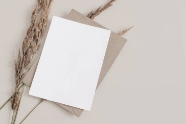 Sonbahar düğünü, doğum günü kırtasiyesi. Boş tebrik kartı, kahverengi zarflı davetiye modeli. Kuru çimenler, bej masa arkasında festuca bitkisi. Sonbahar düzlüğü, üst manzara. Kopyalama alanı