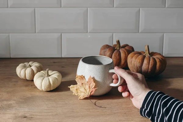 Hösten lever fortfarande. Kvinnlig hand i randig skjorta med en kopp kaffe. Gratulationskort modell med pumpor och lönnlöv. Trä bord bakgrund i solljus kök. Thanksgiving, Halloween-konceptet. — Stockfoto