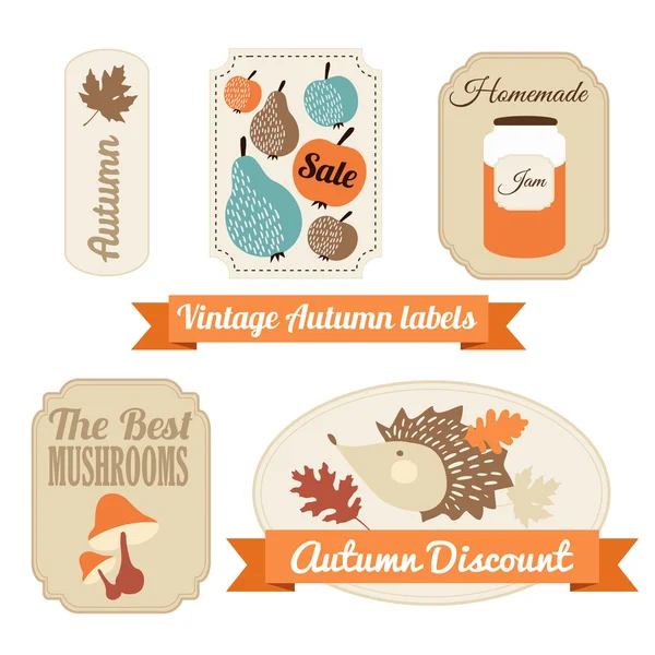 Set of vintage autumn fall labels, tags, stickers, vector — Stock Vector