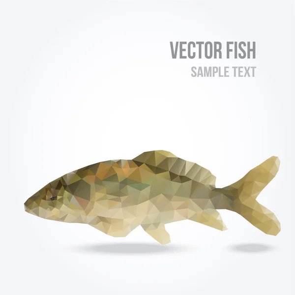 Modern polygon illustration of carp fish, vector — Stock Vector