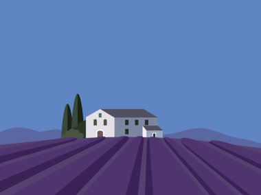 Lavanta alanı, düz tasarım, vektör, Provence yatay 