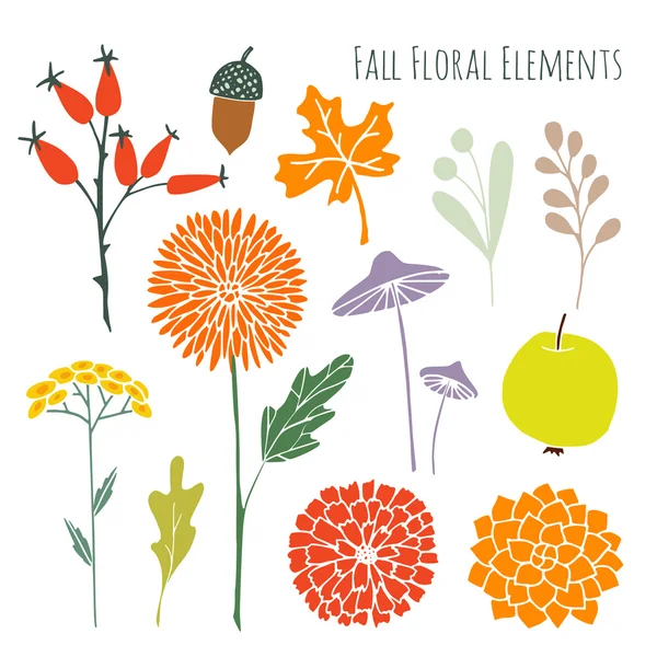 Set of hand drawn autumn fall floral graphic elements, isolated vectors — Stock Vector