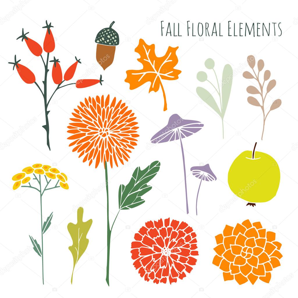 Set of hand drawn autumn fall floral graphic elements, isolated vectors