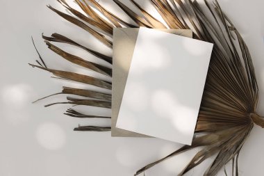 Bej arka planda kurutulmuş Palm Leaf ile beyaz kağıt maketi. Minimal Flat Lay, Natural Shadows. Boho Summer Still Life Marka Tasarımı, Düğün Davetiyesi. Kırtasiye Şablonu