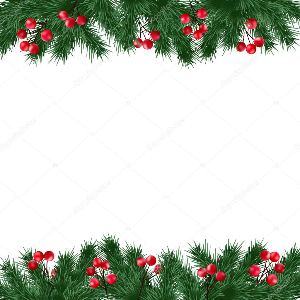 Christmas greeting card, invitation with fir tree branches and holly berries border on white background