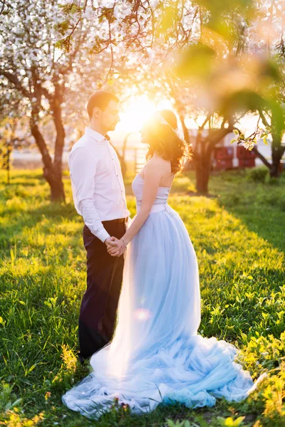 Young couple embracing at sunset in blooming spring garden. Love and romantic theme. — Stockfoto