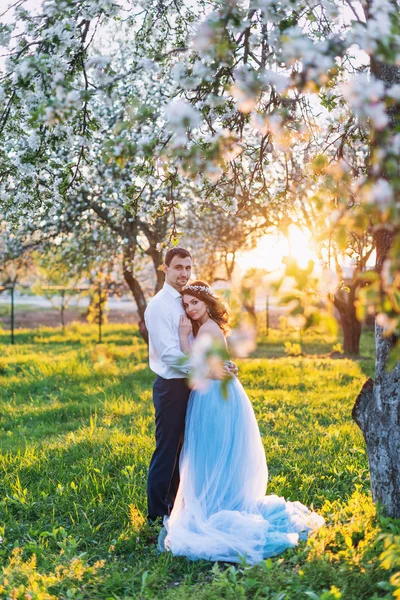 Pareja joven abrazándose al atardecer en floreciente jardín de primavera. Amor y tema romántico . — Foto de Stock