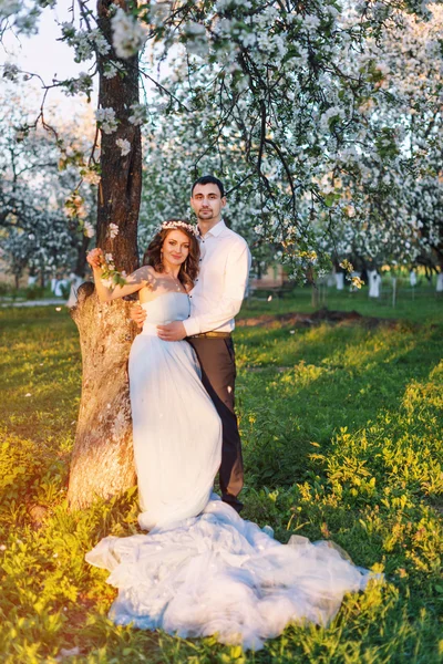 Pareja joven abrazándose al atardecer en floreciente jardín de primavera. Amor y tema romántico . — Foto de Stock