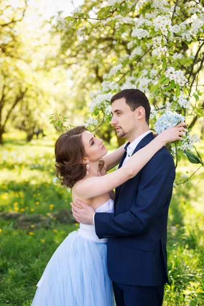 Pareja joven abrazándose en floreciente jardín de primavera. Amor y tema romántico . — Foto de Stock