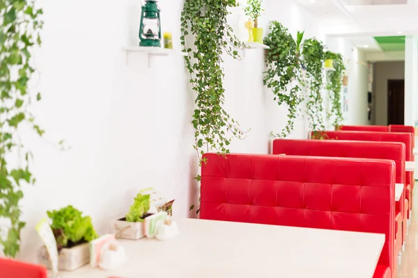 Moderne design interieur van het restaurant in witte en rode kleuren met planten. — Stockfoto