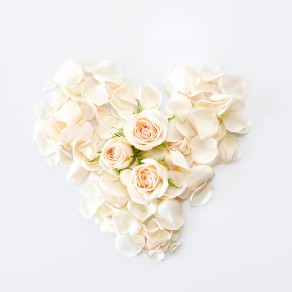 Heart made of white rose petals. Top view with copy space for your text. Love and romantic theme.