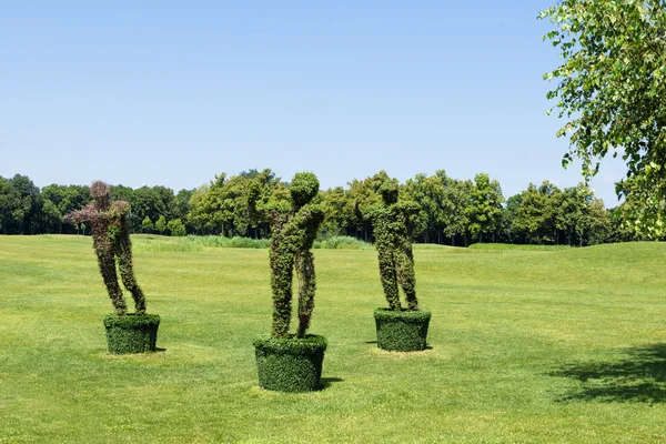 Topiary Garden Sculpture made of grass - man figure. Eco and nature concept. — Stock Photo, Image