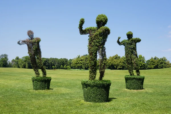 Topiary Garden Escultura hecha de hierba figura del hombre. Concepto ecológico y de naturaleza . —  Fotos de Stock