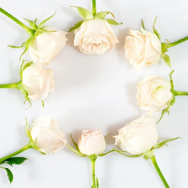 Keret fehér rózsával. Szeretet és romantikus téma. — Stock Fotó