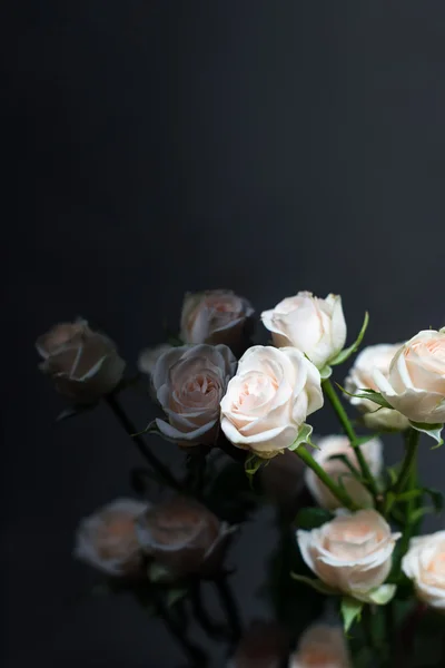Rose rose avec reflet dans le fond de verre sombre — Photo