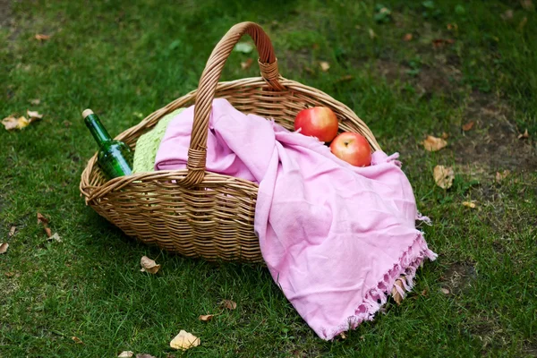 Picknickmand met een deken, een fles wijn en appels op herfst gras — Stockfoto