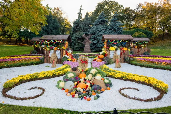 Freshly harvested summer vegetables among flower beds. Large autumn harvest composition outdoor. — Stock Photo, Image