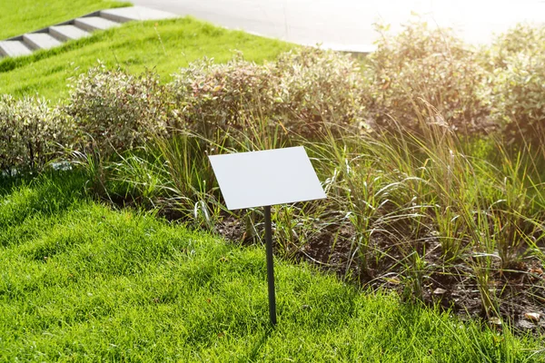 Empty Sign Board Grass Space Caption Property House Sale Sign — Stock Photo, Image