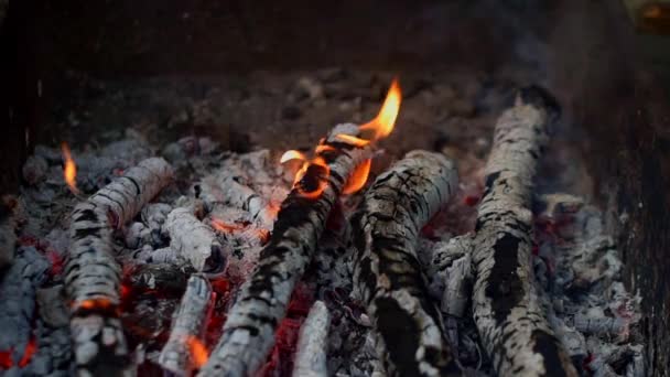 Incendio in un camino da tronchi di legno conflagrante. Bruciare i tronchi in un piccolo falò. — Video Stock