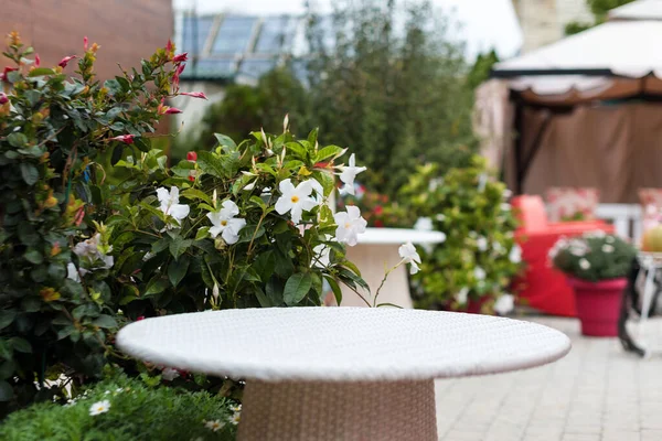 테라스 위에 식당이 비어 있어. 밖에서는 꽃향기가 나는 카페, 전망좋게 먹기에 좋은 곳. 선택적 초점. — 스톡 사진