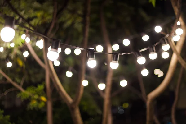 Fundo Desfocado Iluminação Quintal Luz Jardim Noite Lanternas Elétricas Com — Fotografia de Stock