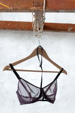 Askıda seksi şeffaf sütyen. Şık kadın dantelli iç çamaşırı. İç çamaşırı, kadın iç çamaşırı.
