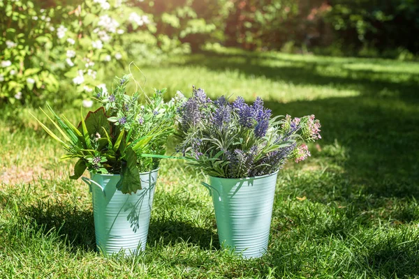 Divers Arrangements Fleurs Fraîches Dans Des Seaux Métalliques Dans Jardin — Photo