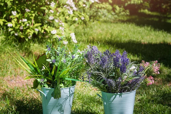 Divers Arrangements Fleurs Fraîches Dans Des Seaux Métalliques Dans Jardin — Photo