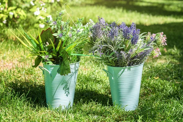 Divers Arrangements Fleurs Fraîches Dans Des Seaux Métalliques Dans Jardin — Photo