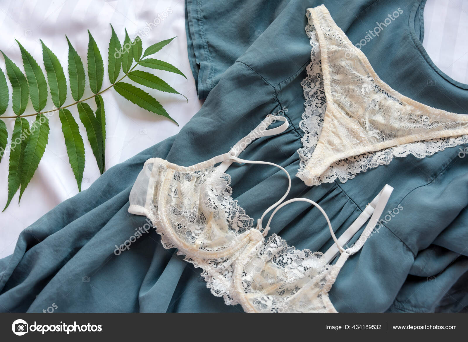 Shopping Fashion Concept Set Glamorous Stylish Sexy Lace Lingerie Lying  Stock Photo by ©Magryt_Artur 434189532