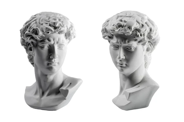 大卫头像的石膏雕像米开朗基罗的大卫雕像石膏复制品被白色背景隔离 古希腊雕塑 英雄雕像 — 图库照片