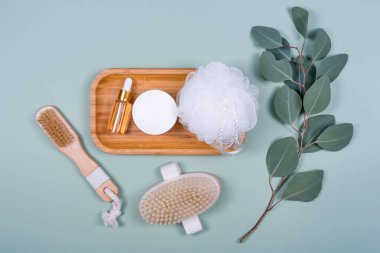 Temel yağ ya da kozmetik serumu şişesi, masaj fırçaları, nane arkaplanda doğal okaliptüs yapraklı yüz kremi. Güzellik ürünleri, masaj aletleri, yüz bakımı, güzellik tedavi konsepti..