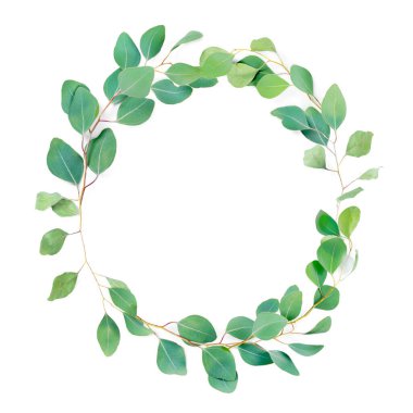 Çiçekli yuvarlak çerçeve, beyaz arka planda okaliptüs yaprakları. Okaliptüs populus dallarından yapılmış bir çelenk. Düz konum, metin için telif alanı olan üst görünüm. En az botanik tasarımı.