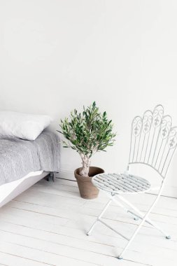 Beyaz çatı katı, İskandinav tarzı. İskandinav tarzında rahat bir daire, beyaz ahşap döşemeli oturma odası, metal sandalye ve zeytin ağacı. Oda yenileme konsepti, metin için boş alan