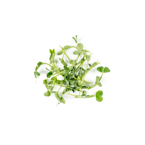 Heap of green pea sprouts, micro greens on white background. Healthy eating concept of fresh garden produce organically grown as a symbol of health and vitamins from nature. Microgreens closeup