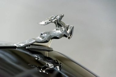 NOVI PETRIVTSI, UKRAINE - Nisan 2017: GAZ POBEDA logosu. Eski model araç ön tarafı. Eski Araçlar Müzesi Ukrayna 'nın eski başkanı Viktor Yanukovich' in evinde..