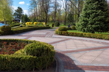 Ağaç manzaralı bir bahçe. Parkta peyzaj..