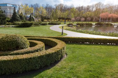 Ağaç manzaralı bir bahçe. Parkta peyzaj..