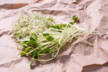 Karma organik mikro yeşillikler kağıt üzerinde. Taze ayçiçeği ve sağlıklı vejetaryen yemekleri pişirmek için bir yığın yonca mikro yeşil lahanası. Sağlıklı gıda ve diyet konsepti. Mikroyeşillikleri kes, üst görünüm.