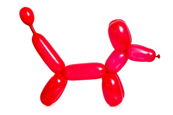 Einfacher Roter Ballon Tierhund Auf Weißem Grund — Stockfoto